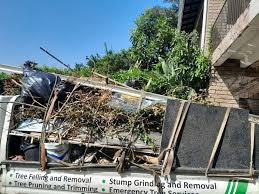 Best Residential Junk Removal  in Horseshoe Bend, AR