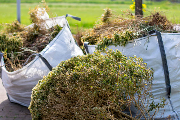 Best Carpet Removal and Disposal  in Horseshoe Bend, AR