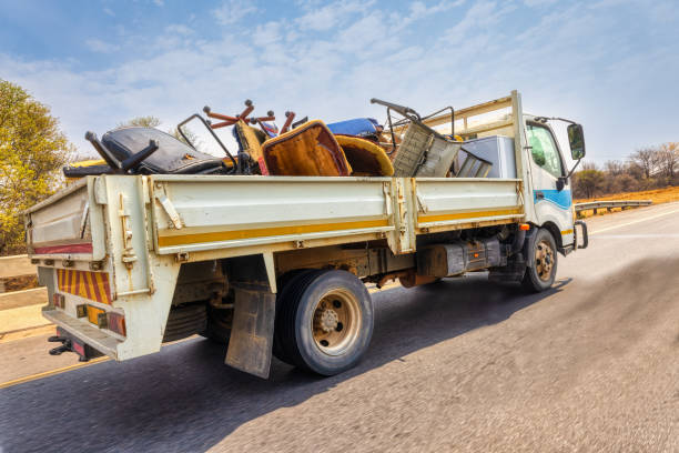 Best Shed Removal  in Horseshoe Bend, AR